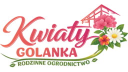  – Sprzedaż, Hurt, Detal Kwiatów Doniczkowych